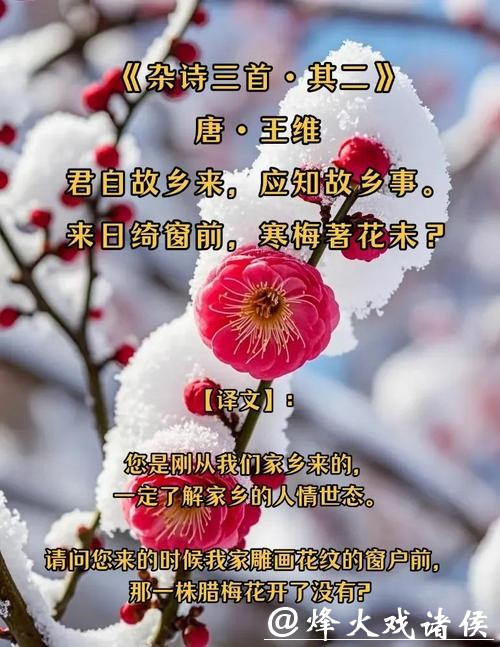 又闻蜡梅香,它点亮春天,却从不张扬 又闻蜡梅香,它点亮春天,却从不张扬